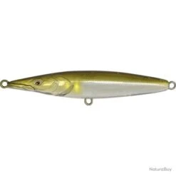 Poisson Nageur Xorus Asturie 110 Metal Ayu