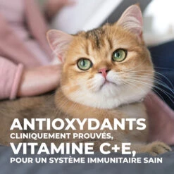 Hill's Science Plan Young Adult Sterilised - Canard - 1,5 Kg 26 Hill's Science Plan Young Adult Sterilised - Canard - 1,5 Kg -CrocForm Boutique 1ac44edf39a1bd1afa61bc15a6ae58d6909bfda31cf2f55f0cbe420dfe8dd70c