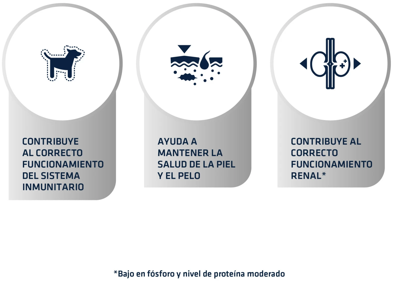 Advance Urinary Low Purine 7 Advance Urinary Low Purine – Image 5