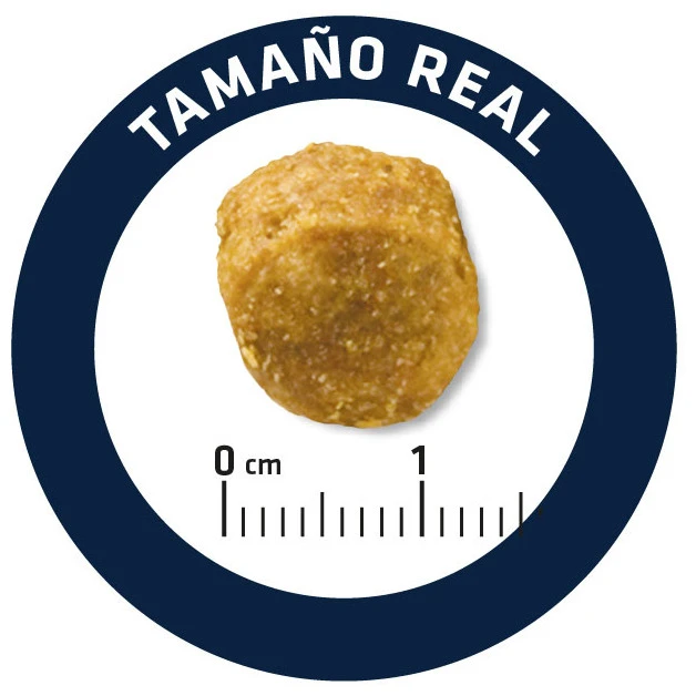 Advance Urinary Low Purine 4 Advance Urinary Low Purine – Image 2