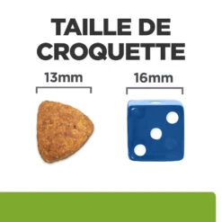 Hill's Prescription Diet Metabolic + Mobility Croquettes Pour Chien Au Poulet 12Kg -CrocForm Boutique 52742000633 4 FR