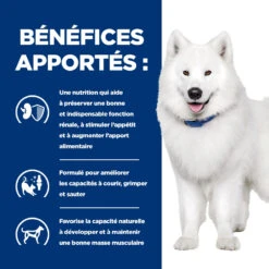 Hill's Prescription Diet K/D J/D Kidney + Mobility Croquettes Pour Chien Au Poulet - 12Kg 10 Hill's Prescription Diet K/D J/D Kidney + Mobility Croquettes Pour Chien Au Poulet - 12Kg -CrocForm Boutique 52742011608 3 FR