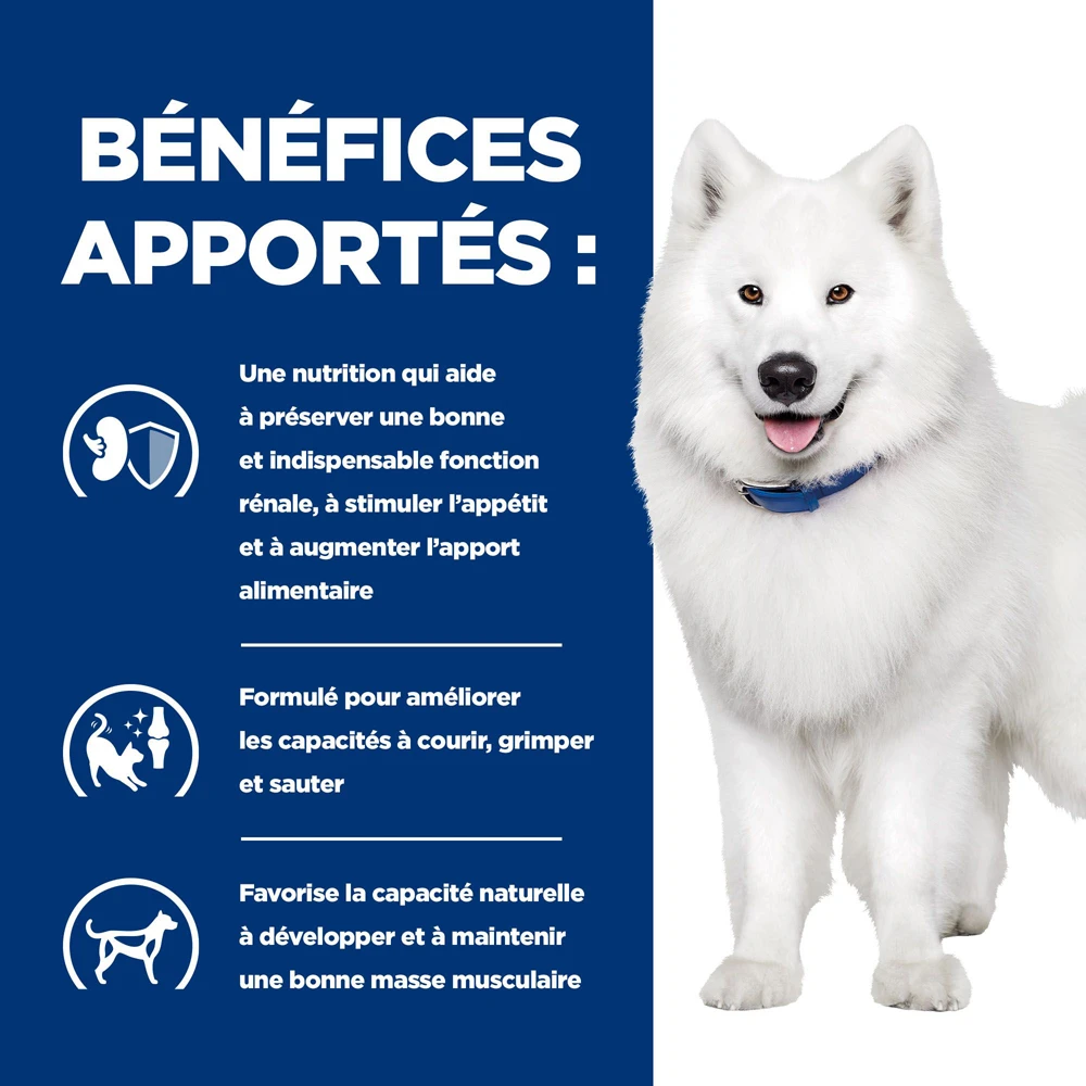 Hill's Prescription Diet K/D J/D Kidney + Mobility Croquettes Pour Chien Au Poulet - 12Kg 5 Hill's Prescription Diet K/D J/D Kidney + Mobility Croquettes Pour Chien Au Poulet - 12Kg – Image 3