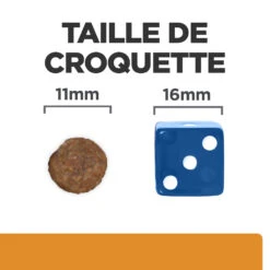 Hill's Prescription Diet K/D J/D Kidney + Mobility Croquettes Pour Chien Au Poulet - 4Kg -CrocForm Boutique 52742011608 4 FR 1