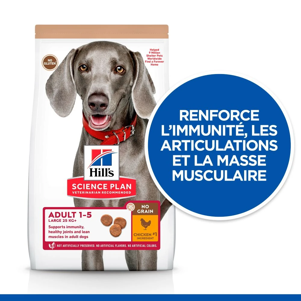 Hill's Science Plan No Grain Adult Large Breed Croquettes Sans Céréales Pour Chien Adulte De Grande Race Au Poulet - 14kg 4 Hill's Science Plan No Grain Adult Large Breed Croquettes Sans Céréales Pour Chien Adulte De Grande Race Au Poulet - 14kg – Image 2