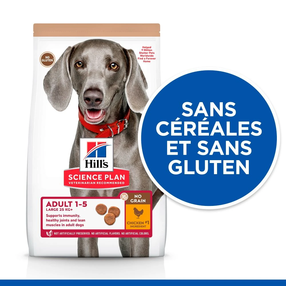 Hill's Science Plan No Grain Adult Large Breed Croquettes Sans Céréales Pour Chien Adulte De Grande Race Au Poulet - 14kg 5 Hill's Science Plan No Grain Adult Large Breed Croquettes Sans Céréales Pour Chien Adulte De Grande Race Au Poulet - 14kg – Image 3