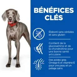 Hill's Science Plan No Grain Adult Large Breed Croquettes Sans Céréales Pour Chien Adulte De Grande Race Au Poulet - 14kg 11 Hill's Science Plan No Grain Adult Large Breed Croquettes Sans Céréales Pour Chien Adulte De Grande Race Au Poulet - 14kg -CrocForm Boutique 52742037233 4 science plan chien adult large no grain croquettes poulet