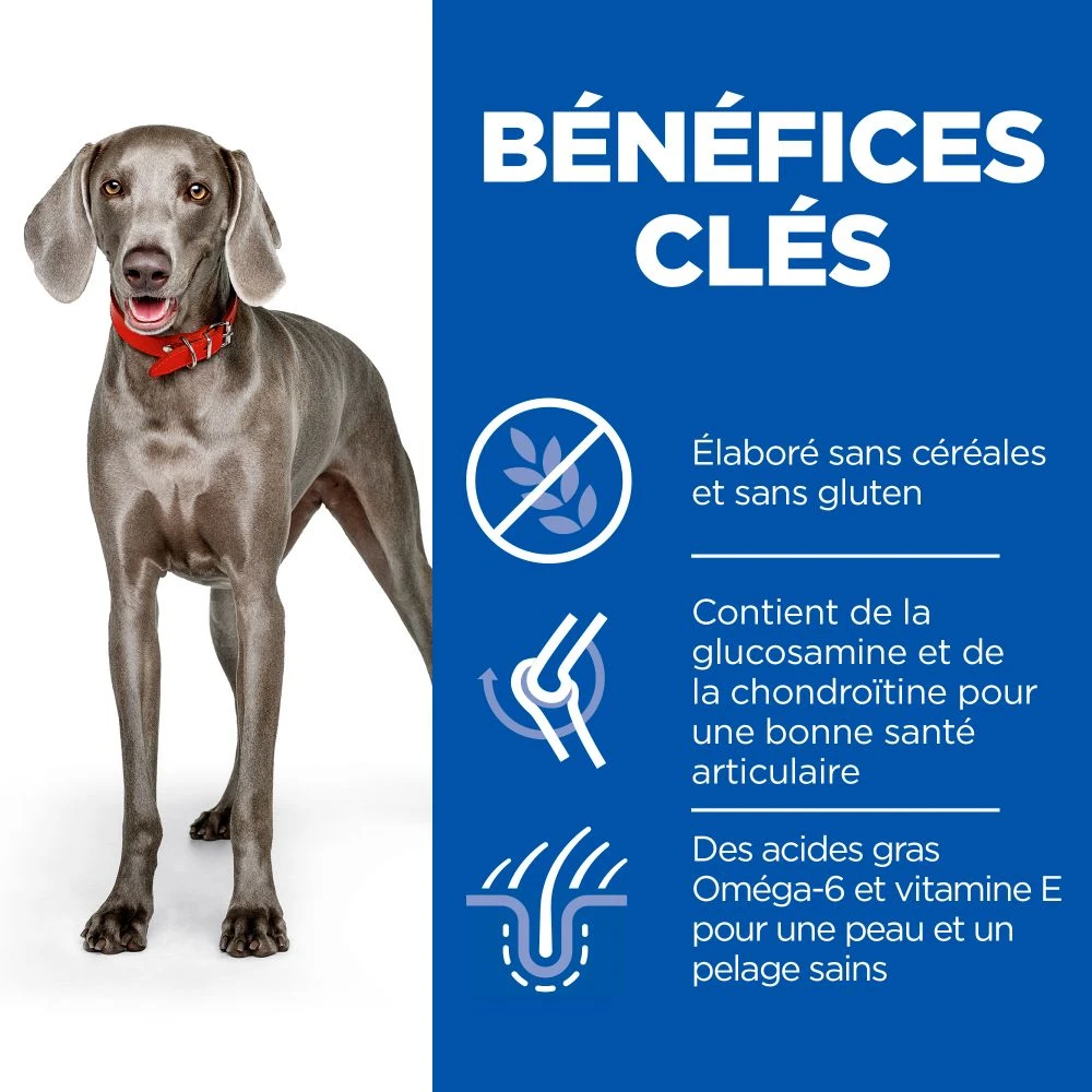 Hill's Science Plan No Grain Adult Large Breed Croquettes Sans Céréales Pour Chien Adulte De Grande Race Au Poulet - 14kg 6 Hill's Science Plan No Grain Adult Large Breed Croquettes Sans Céréales Pour Chien Adulte De Grande Race Au Poulet - 14kg – Image 4