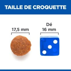 Hill's Science Plan No Grain Adult Large Breed Croquettes Sans Céréales Pour Chien Adulte De Grande Race Au Poulet - 14kg 12 Hill's Science Plan No Grain Adult Large Breed Croquettes Sans Céréales Pour Chien Adulte De Grande Race Au Poulet - 14kg -CrocForm Boutique 52742037233 5 science plan chien adult large no grain croquettes poulet