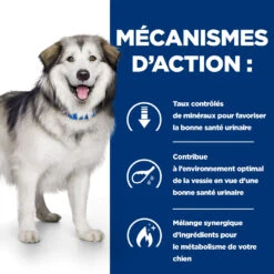 Hill's Prescription Diet C/d Multicare + Metabolic Croquettes Pour Chien 12Kg 11 Hill's Prescription Diet C/d Multicare + Metabolic Croquettes Pour Chien 12Kg -CrocForm Boutique 52742037394 2 FR