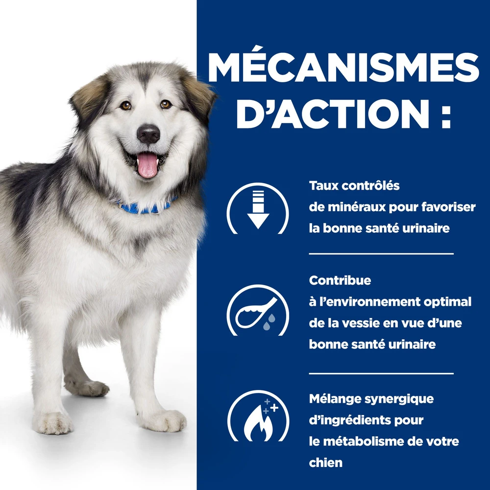 Hill's Prescription Diet C/d Multicare + Metabolic Croquettes Pour Chien 12Kg 5 Hill's Prescription Diet C/d Multicare + Metabolic Croquettes Pour Chien 12Kg – Image 3