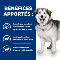 Hill's Prescription Diet C/d Multicare + Metabolic Croquettes Pour Chien 12Kg 12 Hill's Prescription Diet C/d Multicare + Metabolic Croquettes Pour Chien 12Kg -CrocForm Boutique 52742037394 3 FR