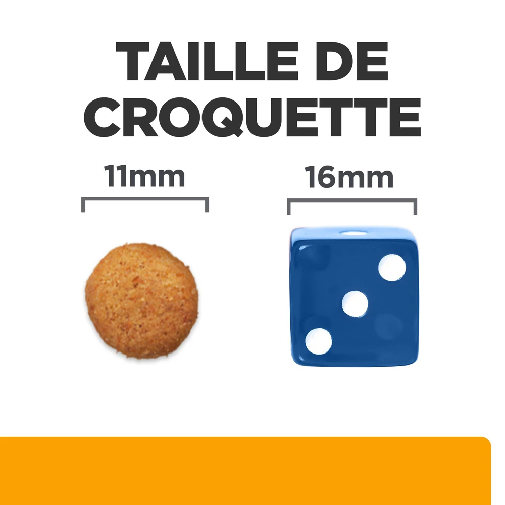 Hill's Prescription Diet C/d Multicare + Metabolic Croquettes Pour Chien 12Kg 7 Hill's Prescription Diet C/d Multicare + Metabolic Croquettes Pour Chien 12Kg – Image 5