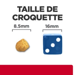 Hill's Prescription Diet C/D Urinay Stress + Metabolic Croquettes Pour Chat Au Poulet 8Kg 13 Hill's Prescription Diet C/D Urinay Stress + Metabolic Croquettes Pour Chat Au Poulet 8Kg -CrocForm Boutique 52742037417 4 FR