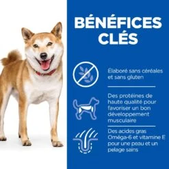 Hill's Science Plan No Grain Adult Croquettes Sans Céréales Pour Chien Adulte Au Thon - 14kg 11 Hill's Science Plan No Grain Adult Croquettes Sans Céréales Pour Chien Adulte Au Thon - 14kg -CrocForm Boutique 52742037509 4 science plan chien adult medium no grain croquettes thon