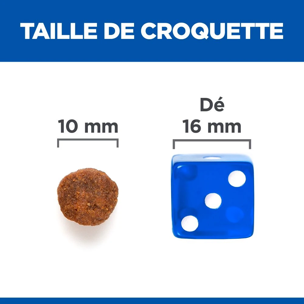 Hill's Science Plan No Grain Adult Croquettes Sans Céréales Pour Chien Adulte Au Thon - 14kg 7 Hill's Science Plan No Grain Adult Croquettes Sans Céréales Pour Chien Adulte Au Thon - 14kg – Image 5