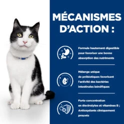Hill's Prescription Diet I/d Digestive Croquettes Pour Chat Et Chaton Au Poulet - 8kg 11 Hill's Prescription Diet I/d Digestive Croquettes Pour Chat Et Chaton Au Poulet - 8kg -CrocForm Boutique 52742041049 2 FR