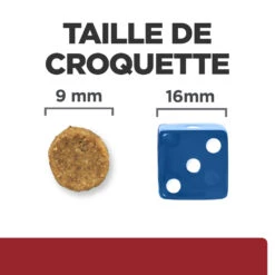 Hill's Prescription Diet I/d Digestive Croquettes Pour Chat Et Chaton Au Poulet - 8kg 13 Hill's Prescription Diet I/d Digestive Croquettes Pour Chat Et Chaton Au Poulet - 8kg -CrocForm Boutique 52742041049 4 FR