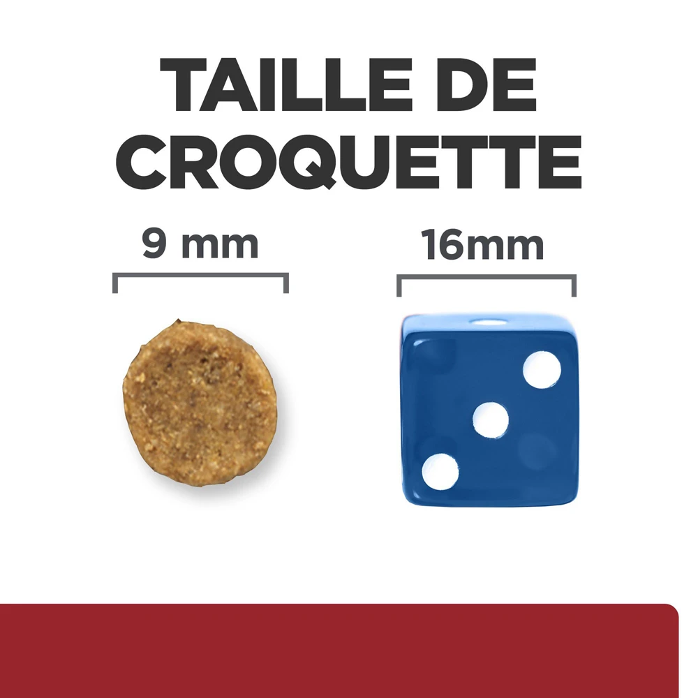 Hill's Prescription Diet I/d Digestive Croquettes Pour Chat Et Chaton Au Poulet - 8kg 7 Hill's Prescription Diet I/d Digestive Croquettes Pour Chat Et Chaton Au Poulet - 8kg – Image 5