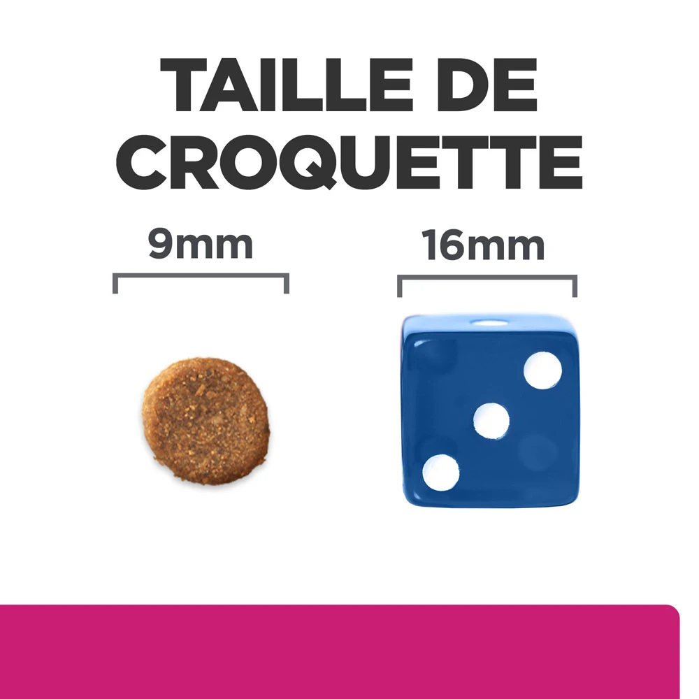 Hill's Prescription Diet Gastrointestinal Biome Croquettes Pour Chat Au Poulet 3kg 7 Hill's Prescription Diet Gastrointestinal Biome Croquettes Pour Chat Au Poulet 3kg – Image 5