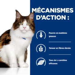 Hill's Prescription Diet W/D Multi Benefit Croquettes Pour Chat Au Poulet - 3Kg -CrocForm Boutique 52742042251 2 FR