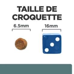 Hill's Prescription Diet W/D Multi Benefit Croquettes Pour Chat Au Poulet - 3Kg -CrocForm Boutique 52742042251 4 FR