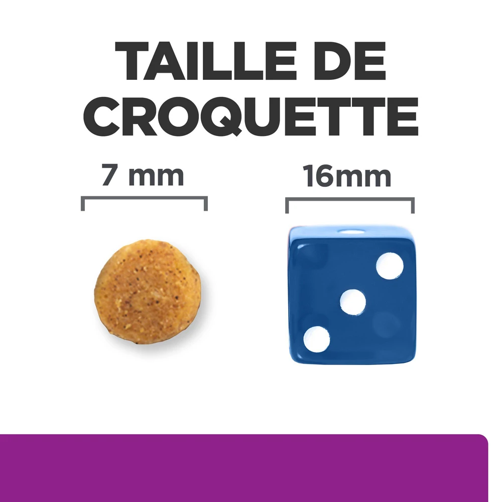 Hill's Prescription Diet Y/D Thyroïd Croquettes Pour Chat Au Poulet - 3Kg 7 Hill's Prescription Diet Y/D Thyroïd Croquettes Pour Chat Au Poulet - 3Kg – Image 5