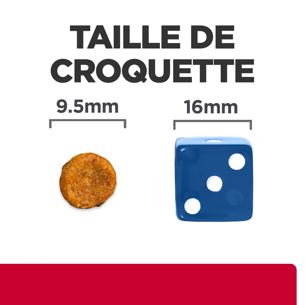 Hill's Prescription Diet C/D Urinary Stress Croquettes Pour Chat Au Poulet - 8Kg 7 Hill's Prescription Diet C/D Urinary Stress Croquettes Pour Chat Au Poulet - 8Kg – Image 5