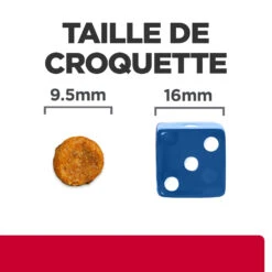 Hill's Prescription Diet C/D Urinary Stress Croquettes Pour Chat Au Poulet 12kg 13 Hill's Prescription Diet C/D Urinary Stress Croquettes Pour Chat Au Poulet 12kg -CrocForm Boutique 52742043807 4 FR