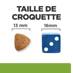 Hill's Prescription Diet Metabolic Croquettes Pour Chien À L'agneau Et Au Riz -12Kg -CrocForm Boutique 52742044538 4 FR