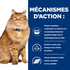 Hill's Prescription Diet K/D J/D Kidney + Mobility Croquettes Pour Chat Au Poulet - 3Kg 11 Hill's Prescription Diet K/D J/D Kidney + Mobility Croquettes Pour Chat Au Poulet - 3Kg -CrocForm Boutique 52742044767 2 FR
