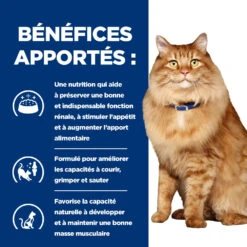 Hill's Prescription Diet K/D J/D Kidney + Mobility Croquettes Pour Chat Au Poulet - 3Kg 12 Hill's Prescription Diet K/D J/D Kidney + Mobility Croquettes Pour Chat Au Poulet - 3Kg -CrocForm Boutique 52742044767 3 FR