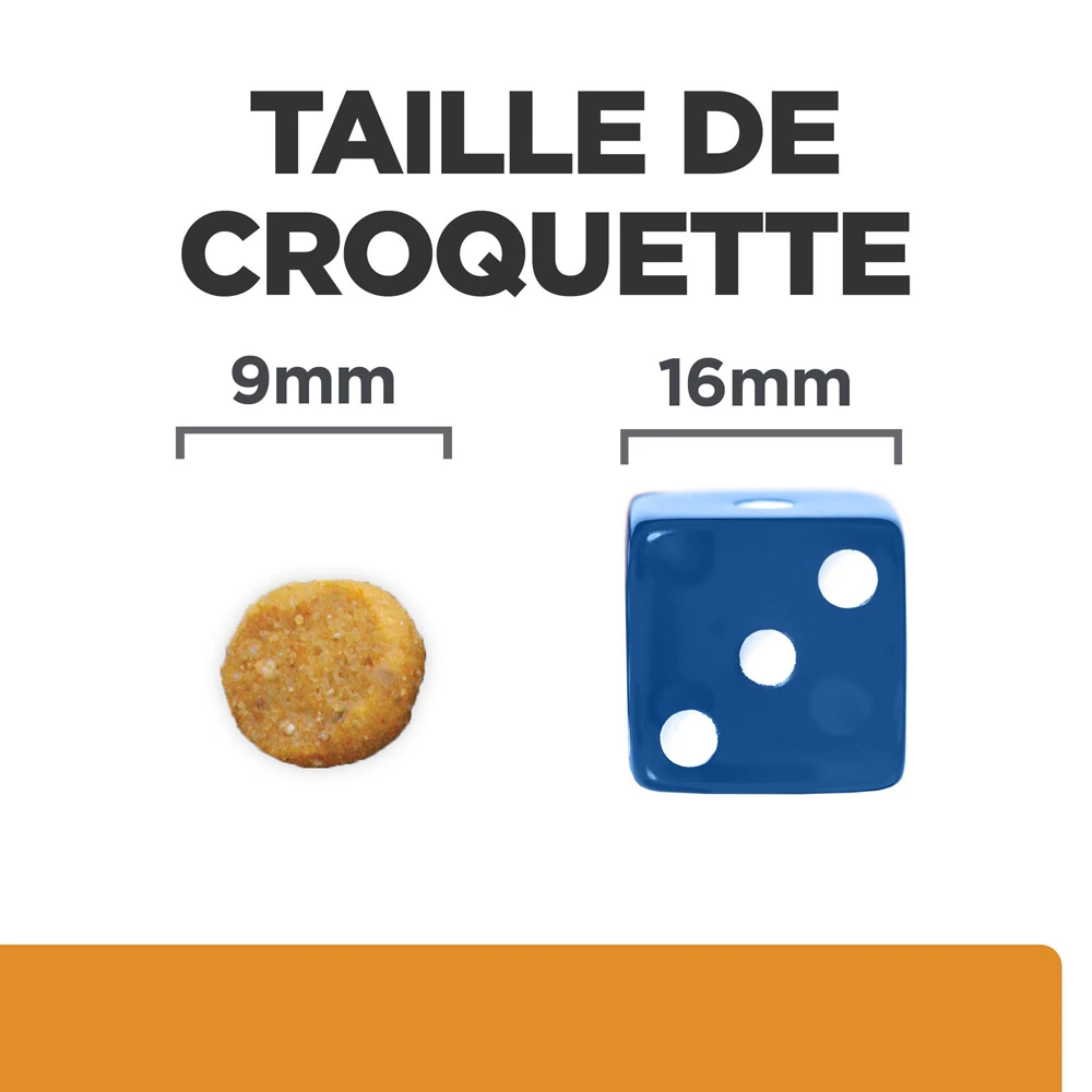 Hill's Prescription Diet K/D J/D Kidney + Mobility Croquettes Pour Chat Au Poulet - 3Kg 7 Hill's Prescription Diet K/D J/D Kidney + Mobility Croquettes Pour Chat Au Poulet - 3Kg – Image 5