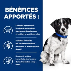 Hill's Prescription Diet I/d Stress Digestive Mini Croquettes Pour Petit Chien Au Poulet 3 Kg 12 Hill's Prescription Diet I/d Stress Digestive Mini Croquettes Pour Petit Chien Au Poulet 3 Kg -CrocForm Boutique 52742045009 3 FR