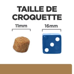 Hill's Prescription Diet J/D Mobility Croquettes Pour Chien Au Poulet - 12Kg 13 Hill's Prescription Diet J/D Mobility Croquettes Pour Chien Au Poulet - 12Kg -CrocForm Boutique 52742045740 4 FR