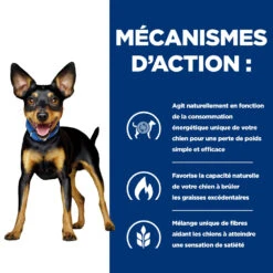 Hill's Prescription Diet Metabolic Croquettes Pour Petit Chien Au Poulet 6kg 11 Hill's Prescription Diet Metabolic Croquettes Pour Petit Chien Au Poulet 6kg -CrocForm Boutique 52742047188 2 FR 1