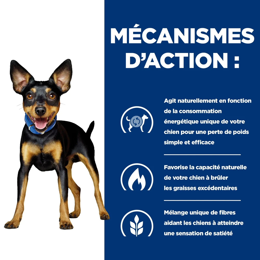 Hill's Prescription Diet Metabolic Croquettes Pour Petit Chien Au Poulet 6kg 5 Hill's Prescription Diet Metabolic Croquettes Pour Petit Chien Au Poulet 6kg – Image 3