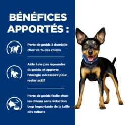 Hill's Prescription Diet Metabolic Croquettes Pour Petit Chien Au Poulet 6kg 12 Hill's Prescription Diet Metabolic Croquettes Pour Petit Chien Au Poulet 6kg -CrocForm Boutique 52742047188 3 FR 1