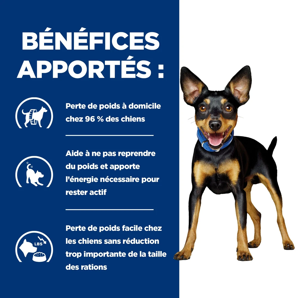 Hill's Prescription Diet Metabolic Croquettes Pour Petit Chien Au Poulet 6kg 6 Hill's Prescription Diet Metabolic Croquettes Pour Petit Chien Au Poulet 6kg – Image 4