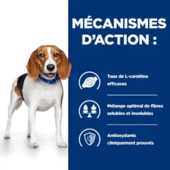 Hill's Prescription Diet R/D Croquettes Pour Chien Au Poulet 4 Kg 11 Hill's Prescription Diet R/D Croquettes Pour Chien Au Poulet 4 Kg -CrocForm Boutique 52742047256 2 FR