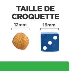 Hill's Prescription Diet R/D Croquettes Pour Chien Au Poulet 4 Kg 13 Hill's Prescription Diet R/D Croquettes Pour Chien Au Poulet 4 Kg -CrocForm Boutique 52742047256 4 FR
