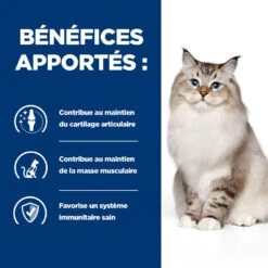 Hill's Prescription Diet J/D Mobility Croquettes Pour Chat Au Poulet 3kg 11 Hill's Prescription Diet J/D Mobility Croquettes Pour Chat Au Poulet 3kg -CrocForm Boutique 52742048352 3 FR