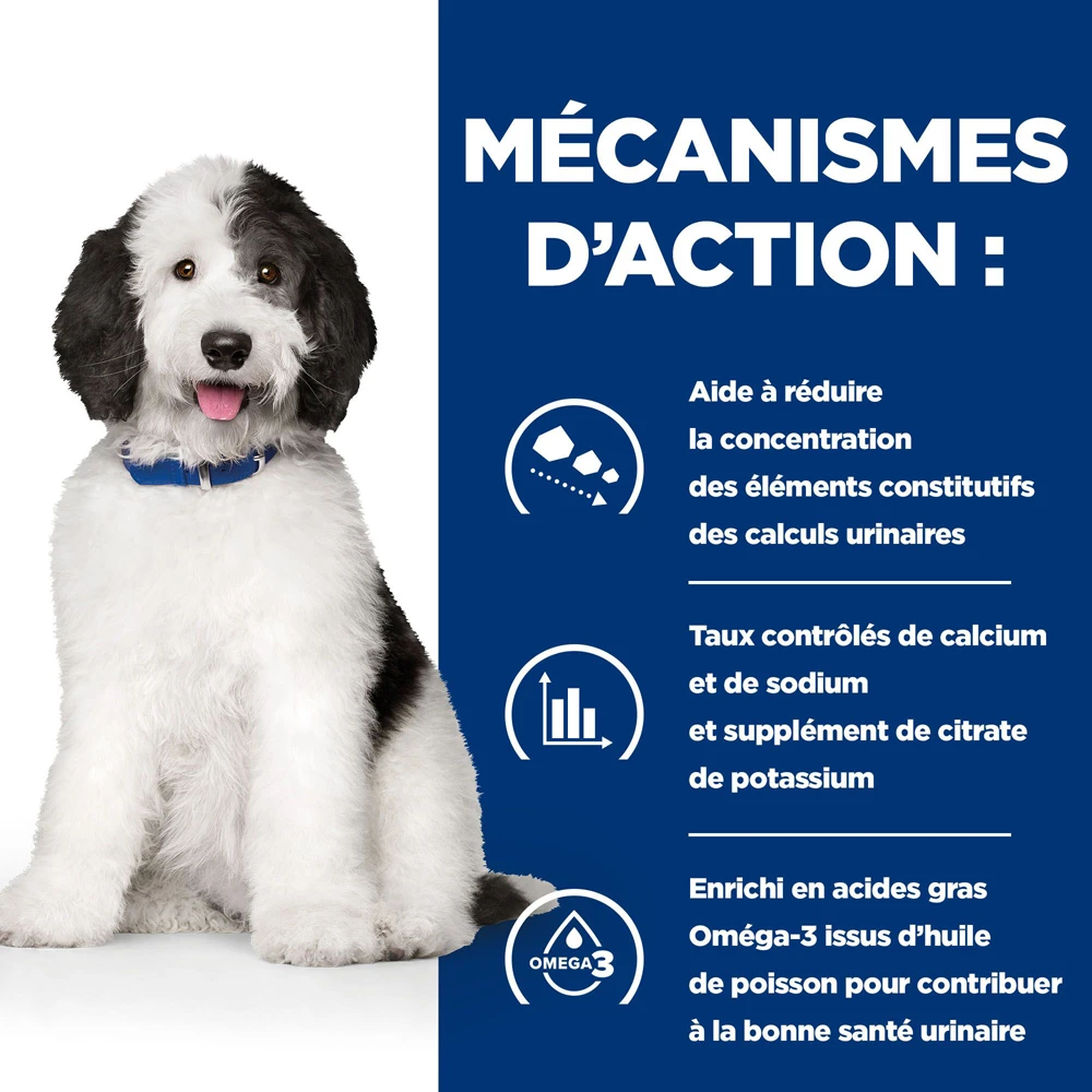 Hill's Prescription Diet C/d Multicare Croquettes Pour Chien Au Poulet 12 Kg 5 Hill's Prescription Diet C/d Multicare Croquettes Pour Chien Au Poulet 12 Kg – Image 3