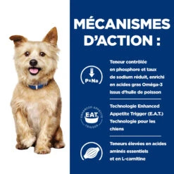 Hill's Prescription Diet K/D Kidney Care Croquettes Pour Chien Au Poulet - 1.5Kg 11 Hill's Prescription Diet K/D Kidney Care Croquettes Pour Chien Au Poulet - 1.5Kg -CrocForm Boutique 52742918204 2 FR