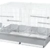 Voltrega Cage Élevage 320 Blanche 58,5x36x41 Cm 2 Voltrega Cage Élevage 320 Blanche 58,5x36x41 Cm -CrocForm Boutique 63146 8429886000225 1