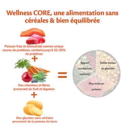 Wellness CORE - Croquettes Océan Saumon Et Thon Pour Chien - 10Kg 10 Wellness CORE - Croquettes Océan Saumon Et Thon Pour Chien - 10Kg -CrocForm Boutique 64060