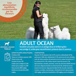 Wellness CORE - Croquettes Océan Saumon Et Thon Pour Chien - 10Kg 9 Wellness CORE - Croquettes Océan Saumon Et Thon Pour Chien - 10Kg -CrocForm Boutique 64062