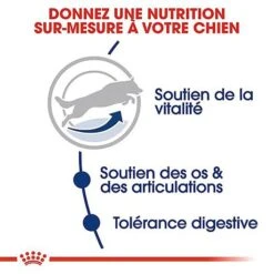 Royal Canin - Croquettes Maxi Adulte 5+ Pour Chien Adulte - 15Kg 11 Royal Canin - Croquettes Maxi Adulte 5+ Pour Chien Adulte - 15Kg -CrocForm Boutique 66834