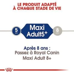 Royal Canin - Croquettes Maxi Adulte 5+ Pour Chien Adulte - 15Kg 10 Royal Canin - Croquettes Maxi Adulte 5+ Pour Chien Adulte - 15Kg -CrocForm Boutique 66835