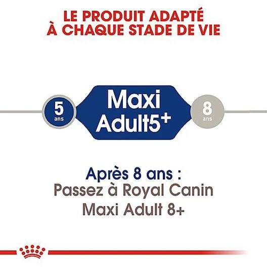 Royal Canin - Croquettes Maxi Adulte 5+ Pour Chien Adulte - 15Kg 5 Royal Canin - Croquettes Maxi Adulte 5+ Pour Chien Adulte - 15Kg – Image 3